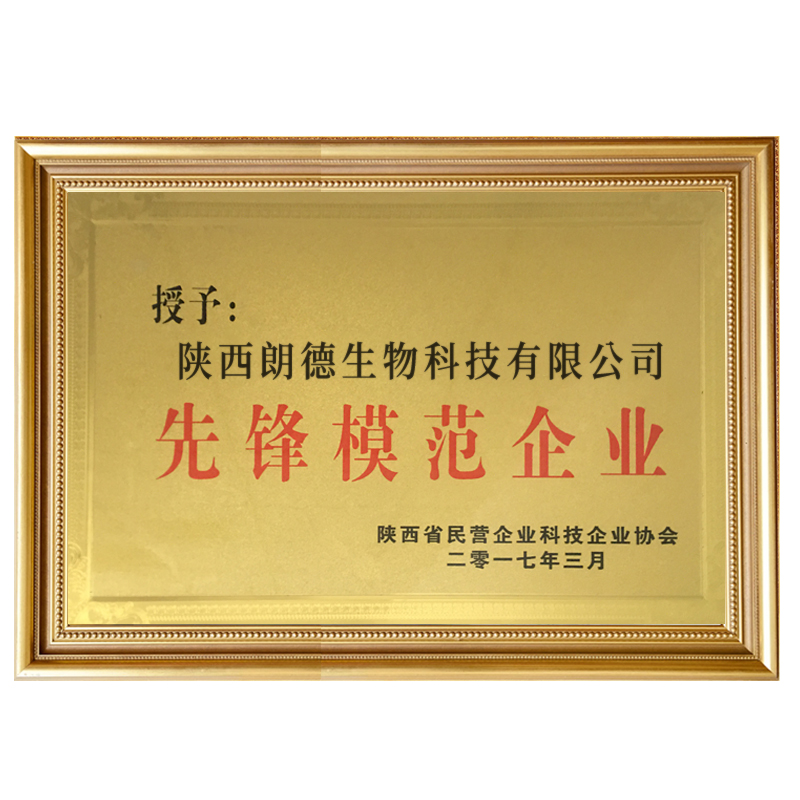 先锋模范企业